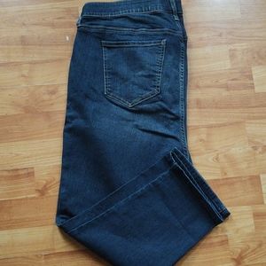 Torrid nwot skinny jeans